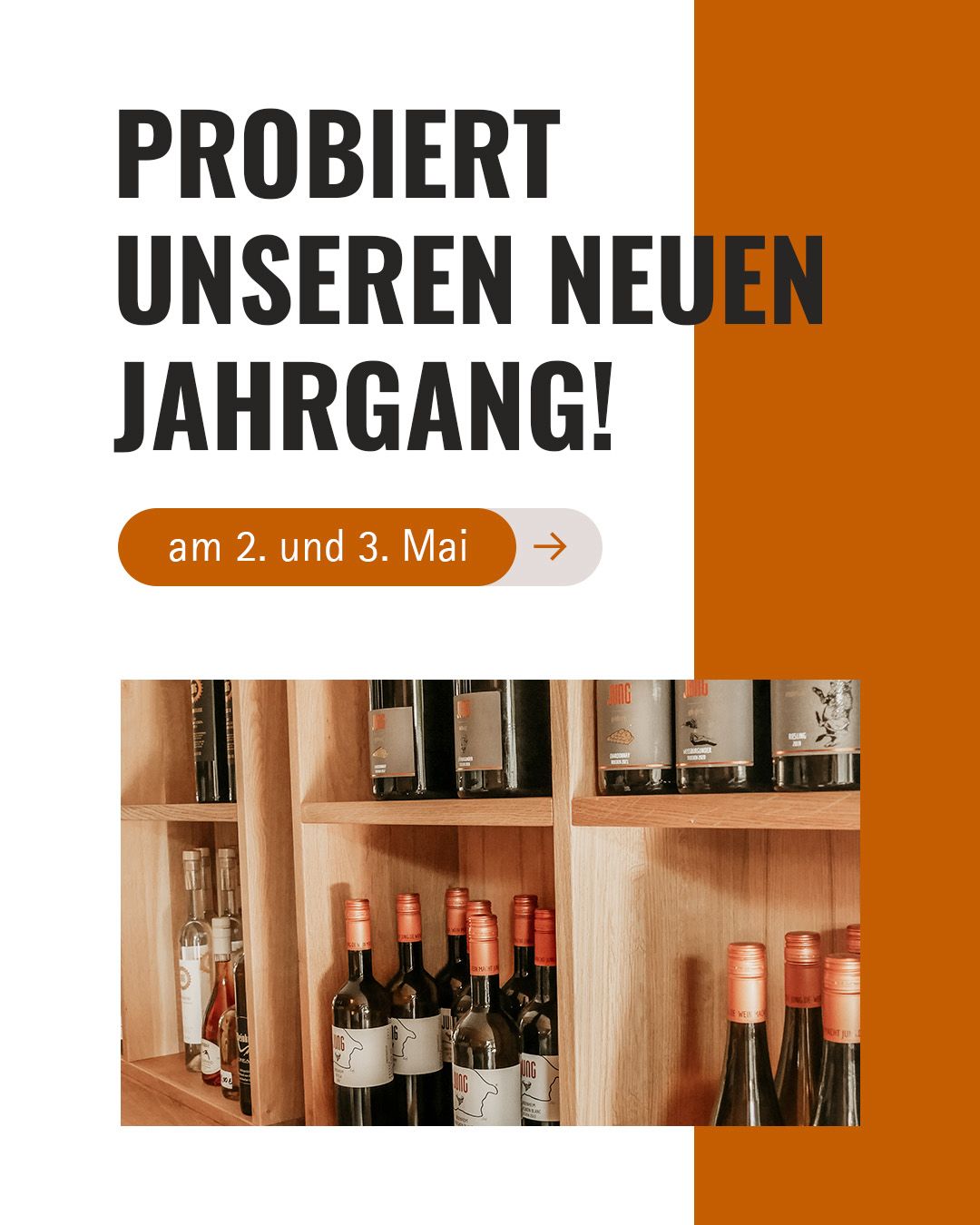Der neue Jahrgang ist da! Jahrgangspräsentation 2026