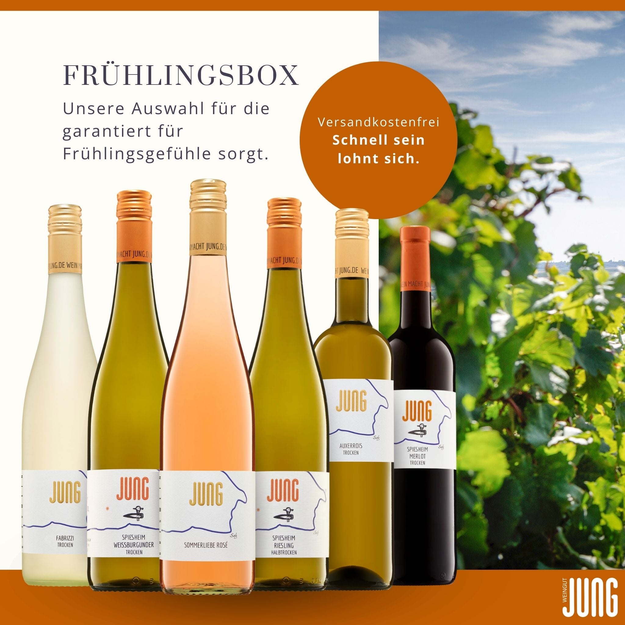 Jungs Frühlingsbox