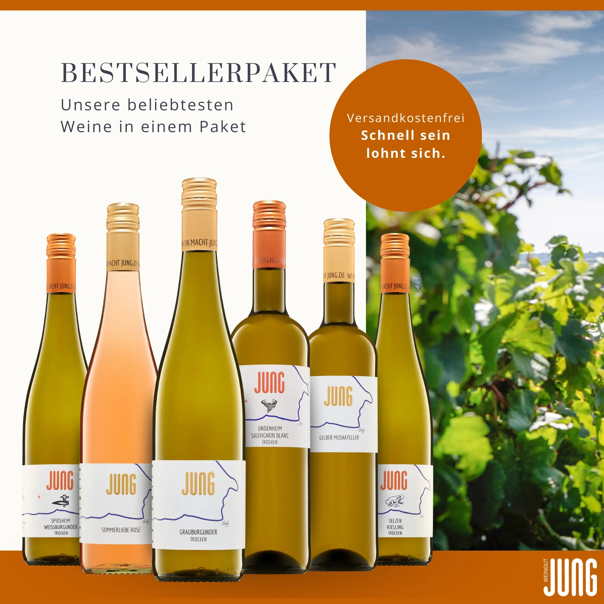 Jung Bestsellerpaket